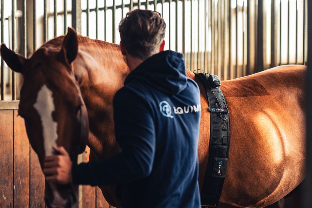 Equimo Smart Girth