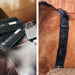 Equimo Heart Rate Set + Girth