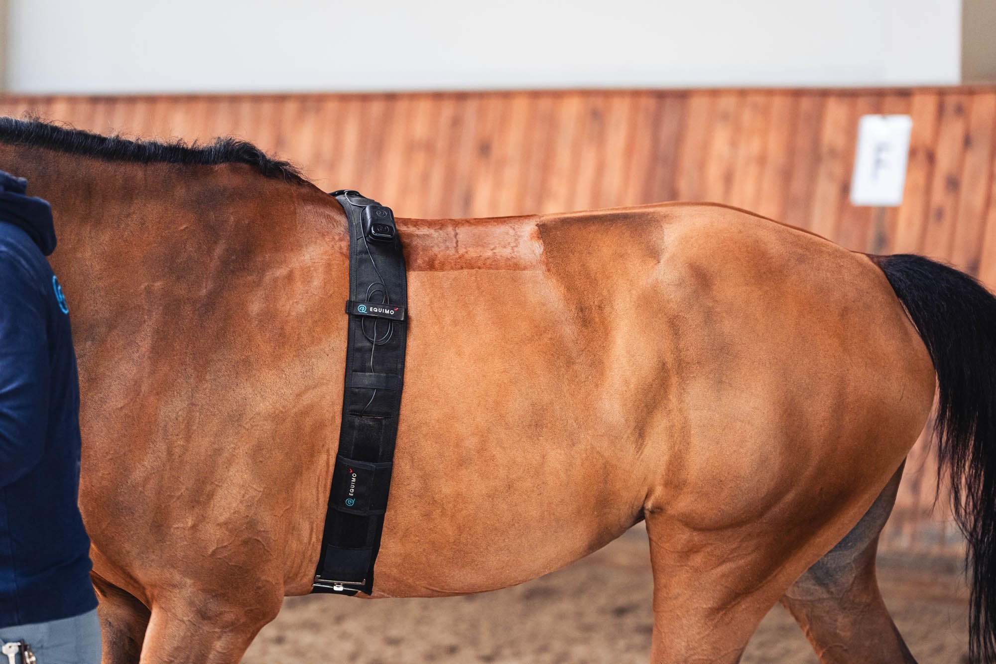 Equimo Smart Girth - Image 4