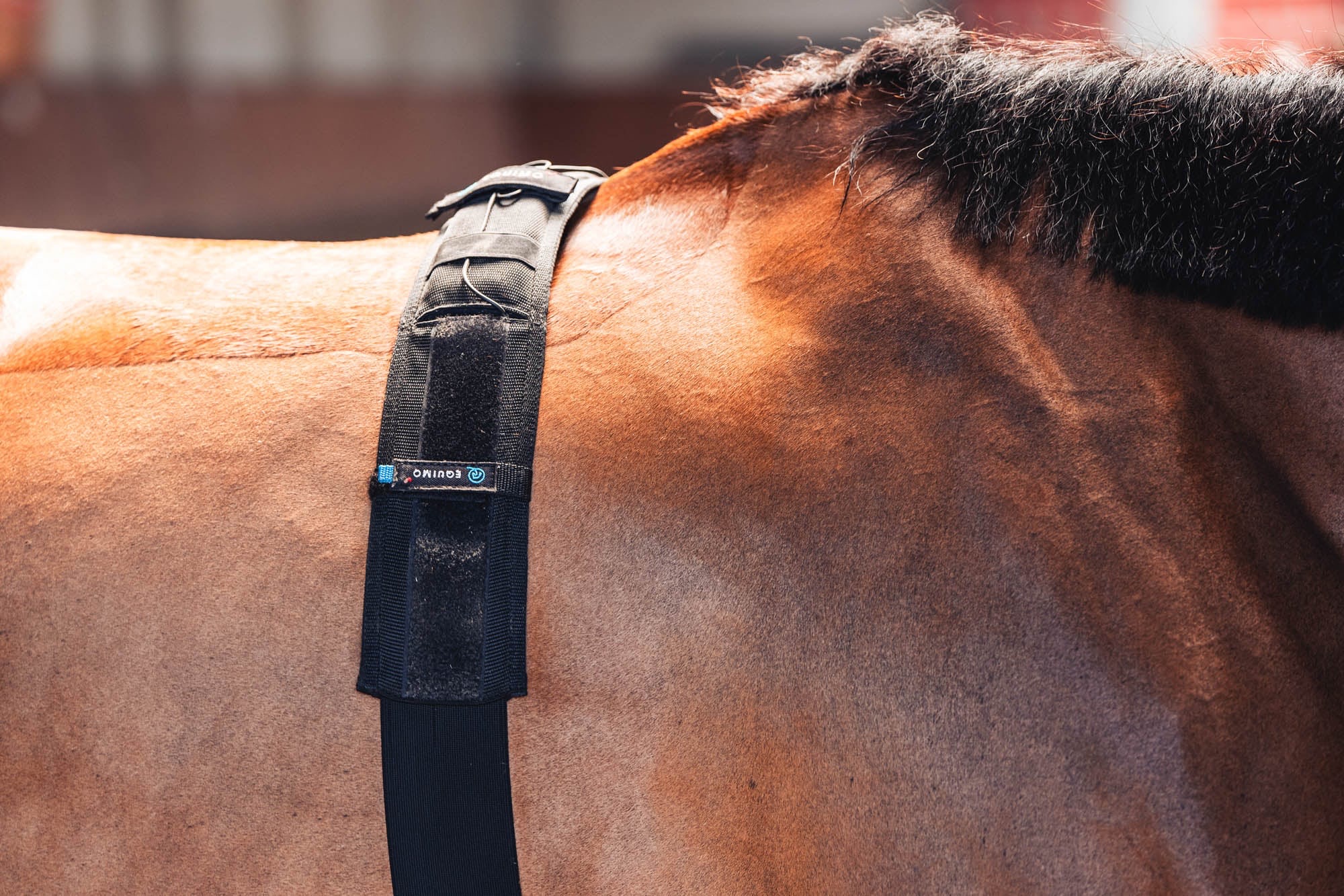 Equimo Smart Girth - Image 3