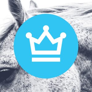 Premium Subscription (1 year)