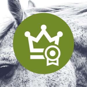 Premium Subscription for Professional team member (1 member, 1 year)