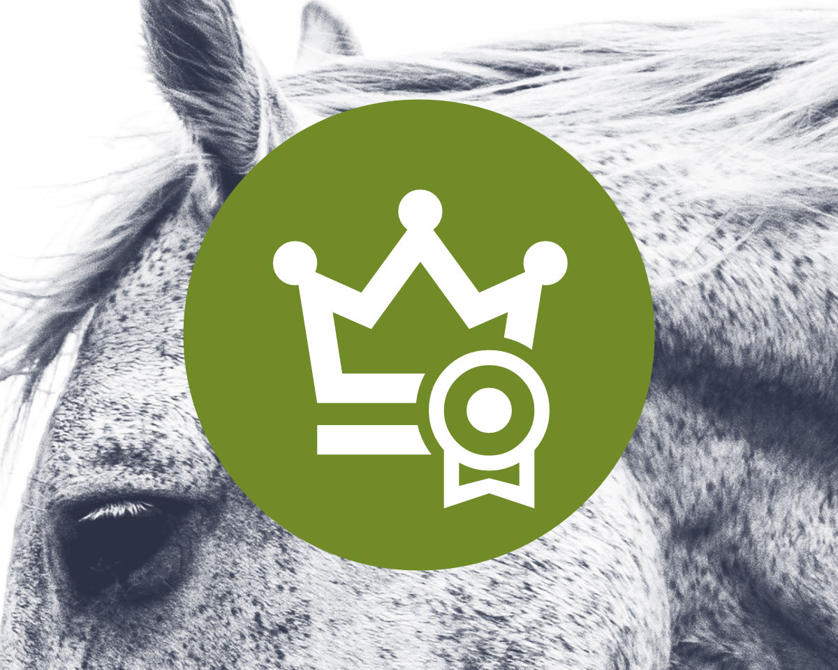 Premium Subscription for Professional team member (1 member, 1 year)