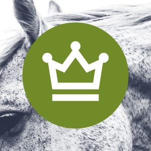 Professional Subscription (1 year)